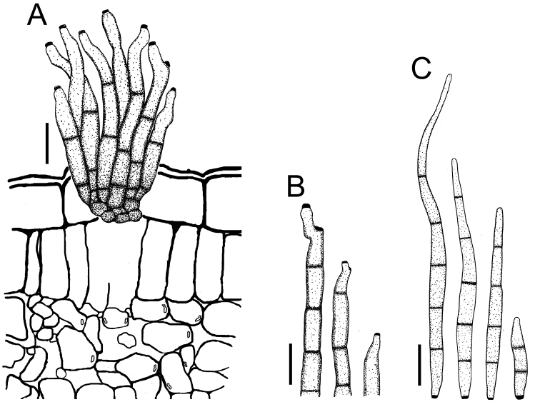 Figure 16.