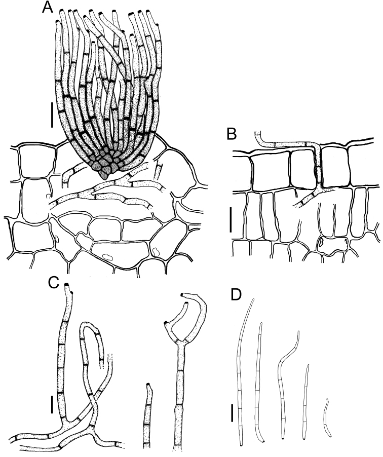 Figure 12.