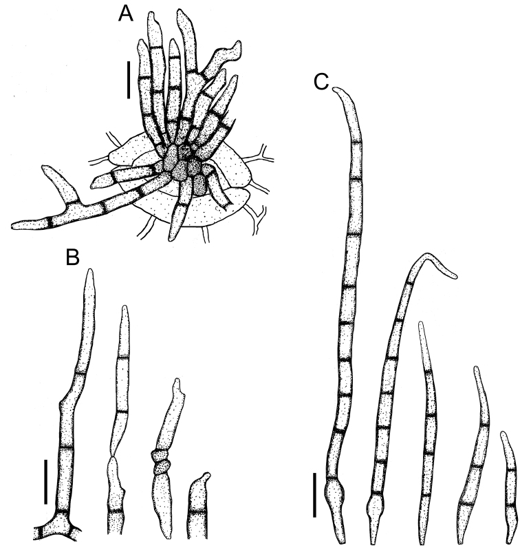 Figure 18.