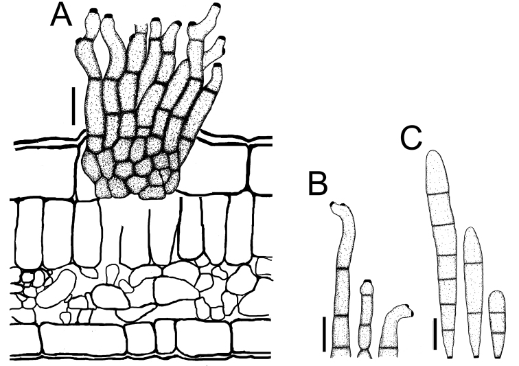 Figure 15.