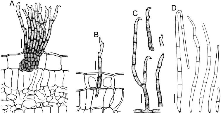 Figure 9.