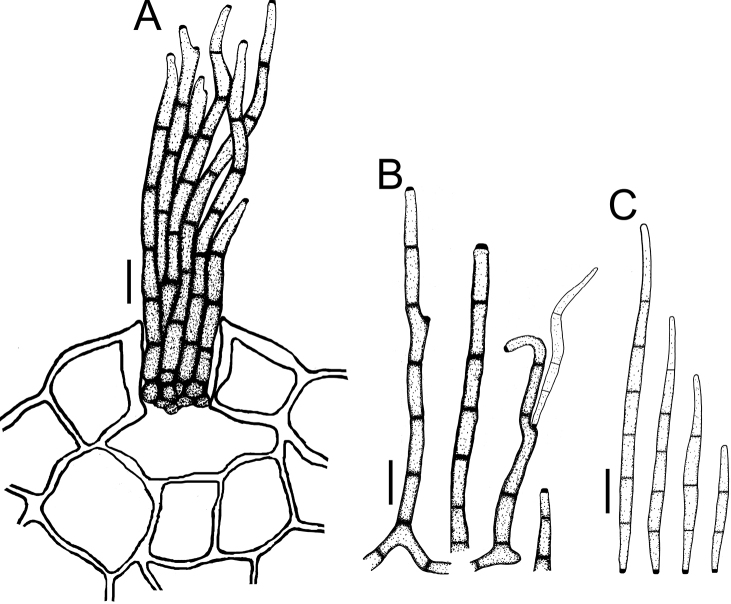 Figure 10.