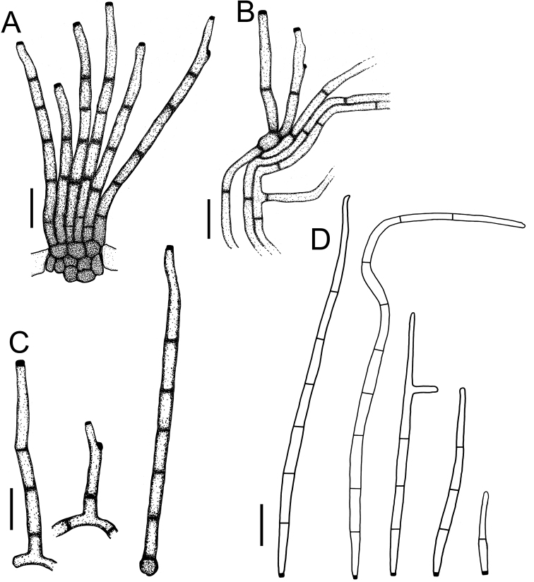 Figure 13.