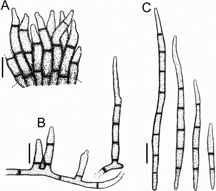 Figure 17.