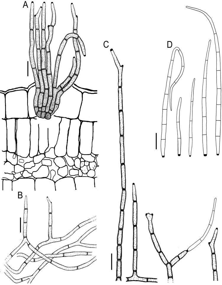 Figure 11.