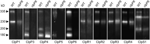 Figure 6.