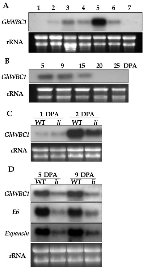 Figure 3.