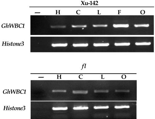 Figure 4.