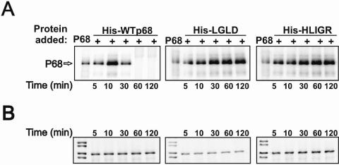 FIG. 4.