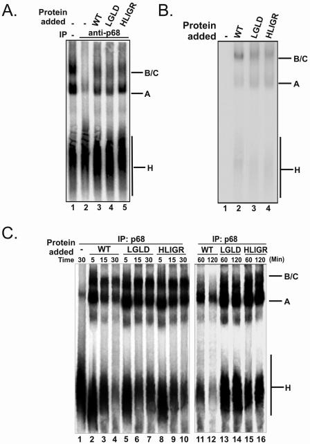 FIG. 5.