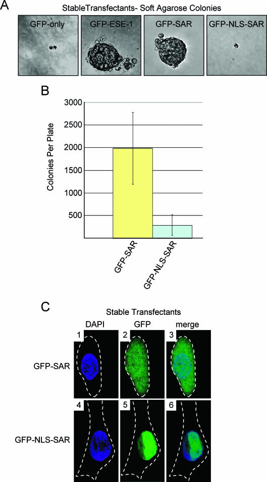 FIG. 7.