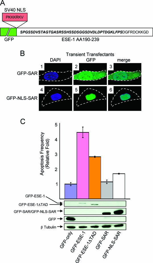 FIG. 6.