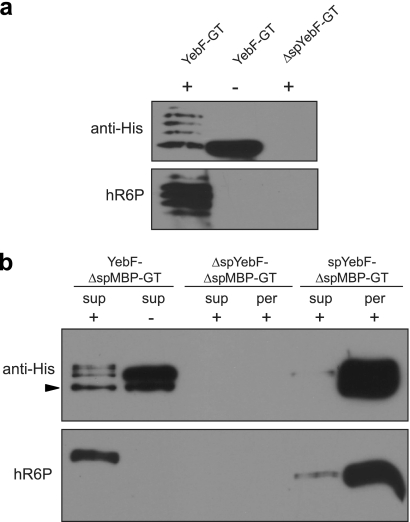 FIG. 6.