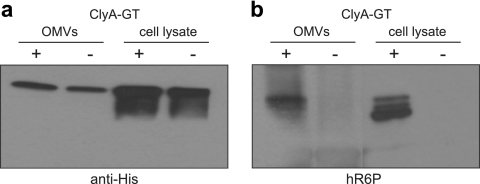 FIG. 5.