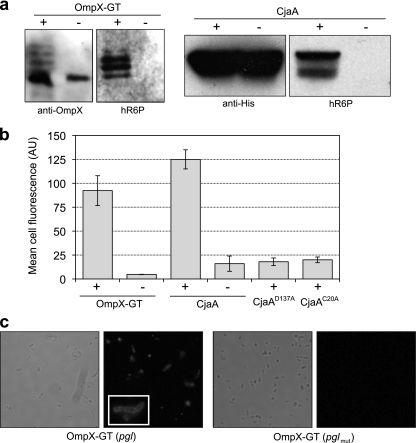 FIG. 4.