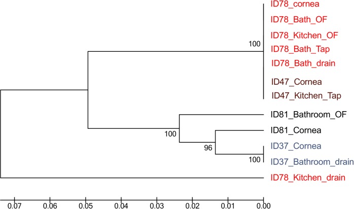 Fig 5