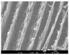 Figure 24