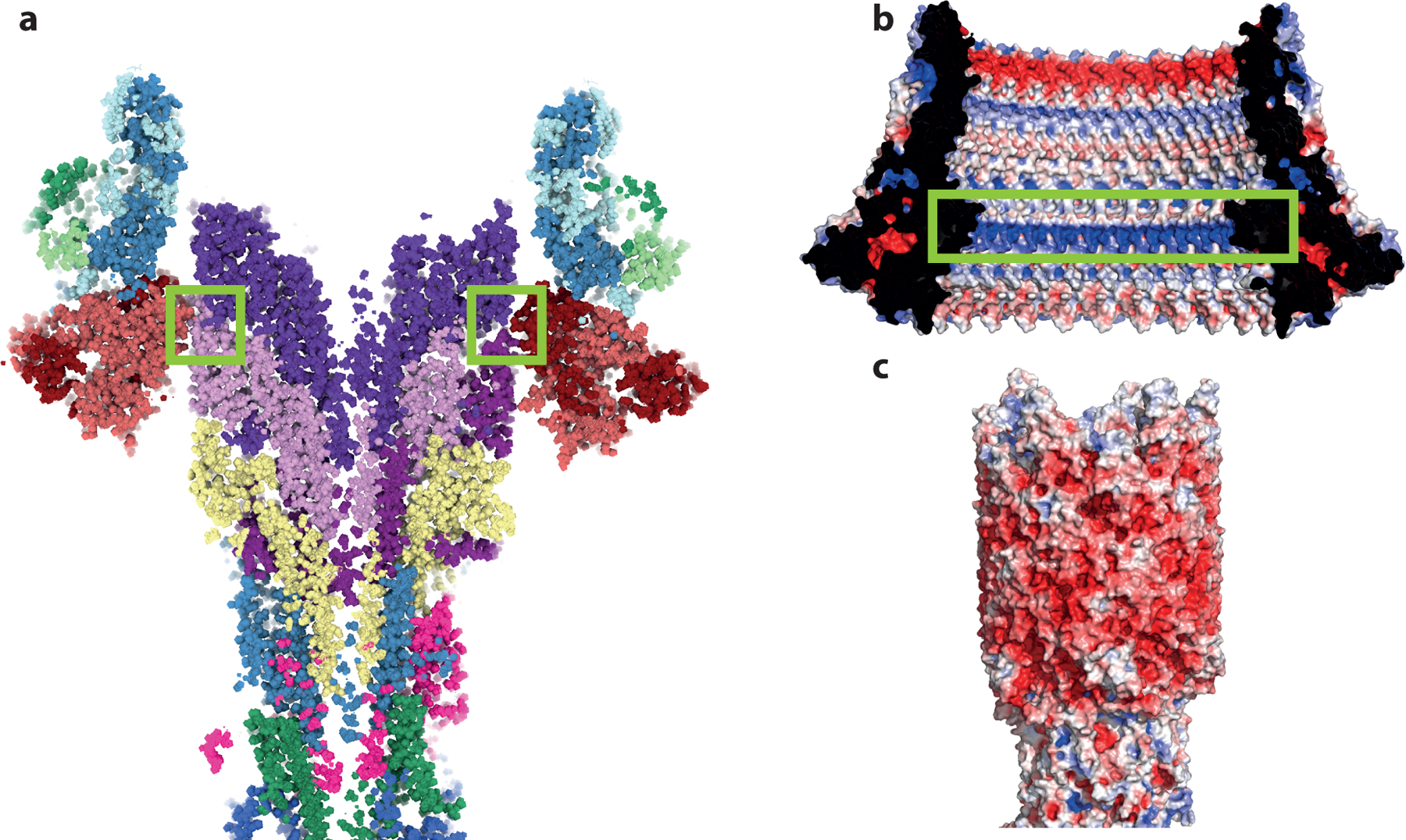 Extended Data Fig. 6