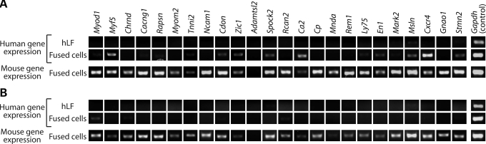 Figure 2.