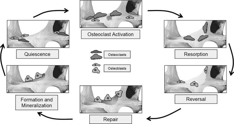 Figure 2: