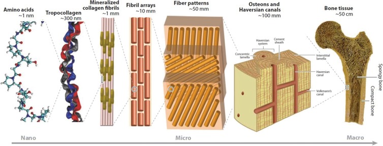 Figure 20: