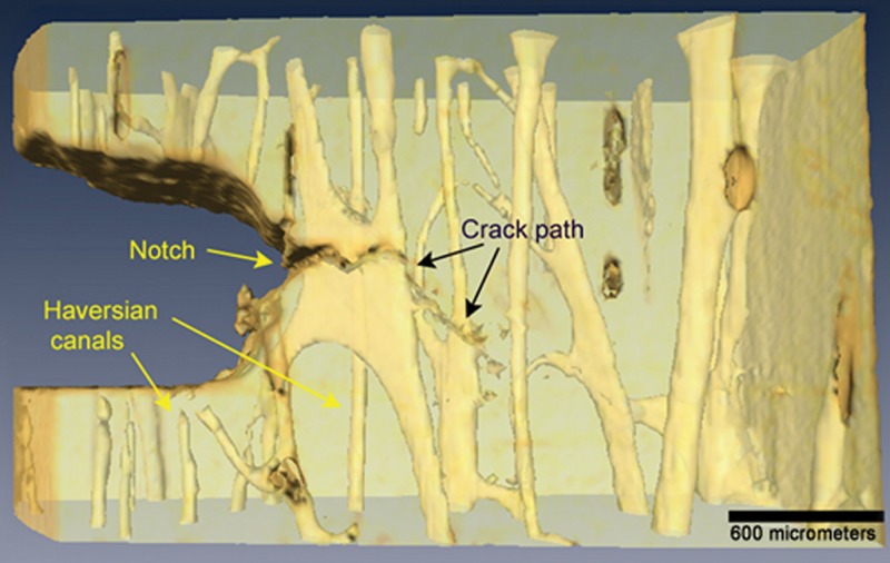 Figure 21: