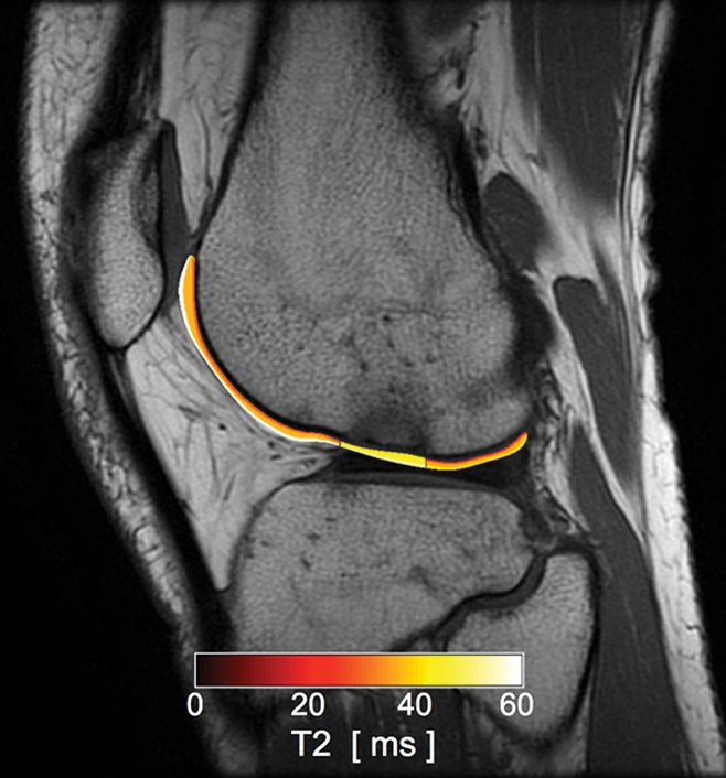 Figure 13: