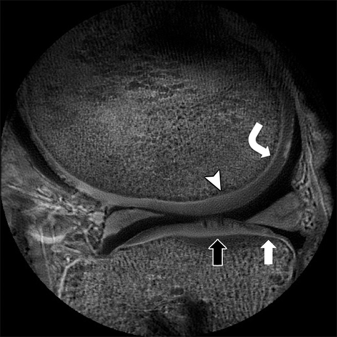 Figure 6: