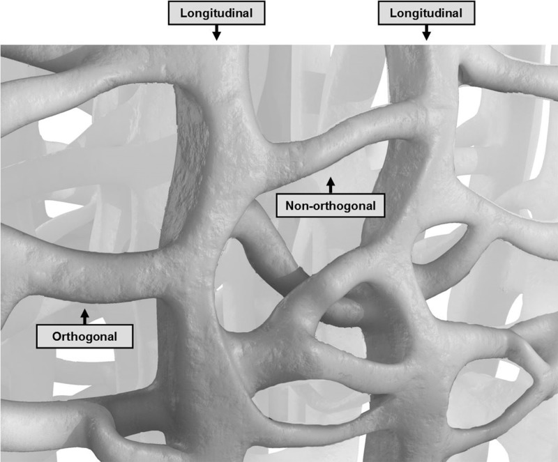 Figure 14: