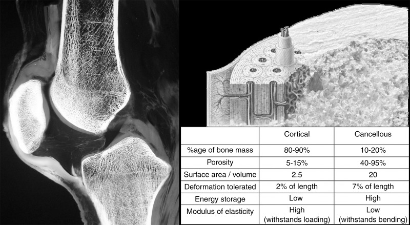 Figure 18: