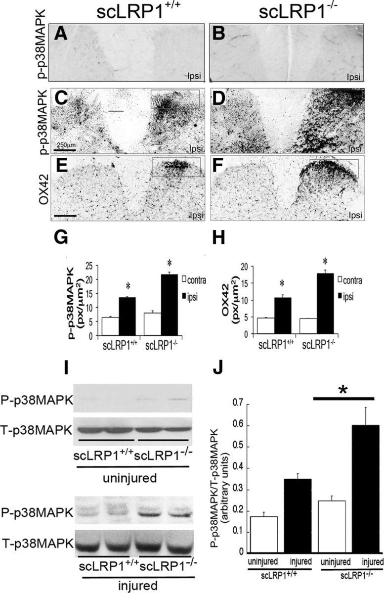 Figure 9.