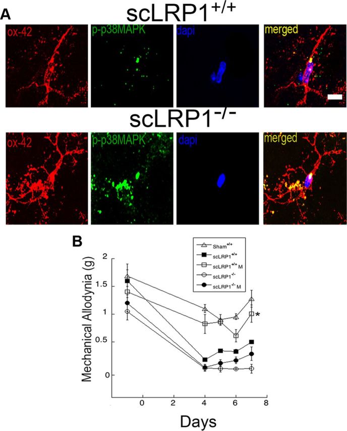 Figure 10.