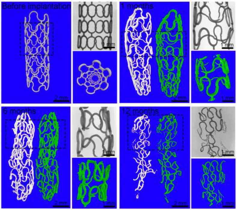 Fig. 7