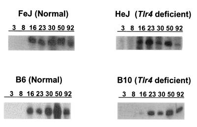 FIG. 4.