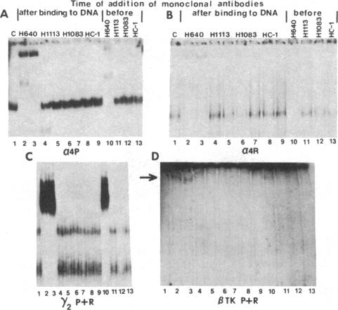 graphic file with name pnas00314-0180-b.jpg