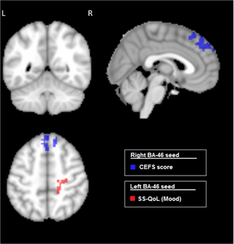 Fig 5