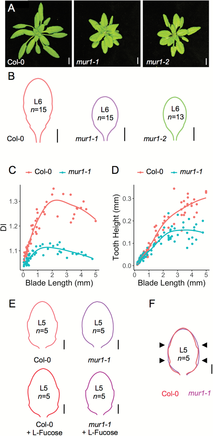 Fig. 3.