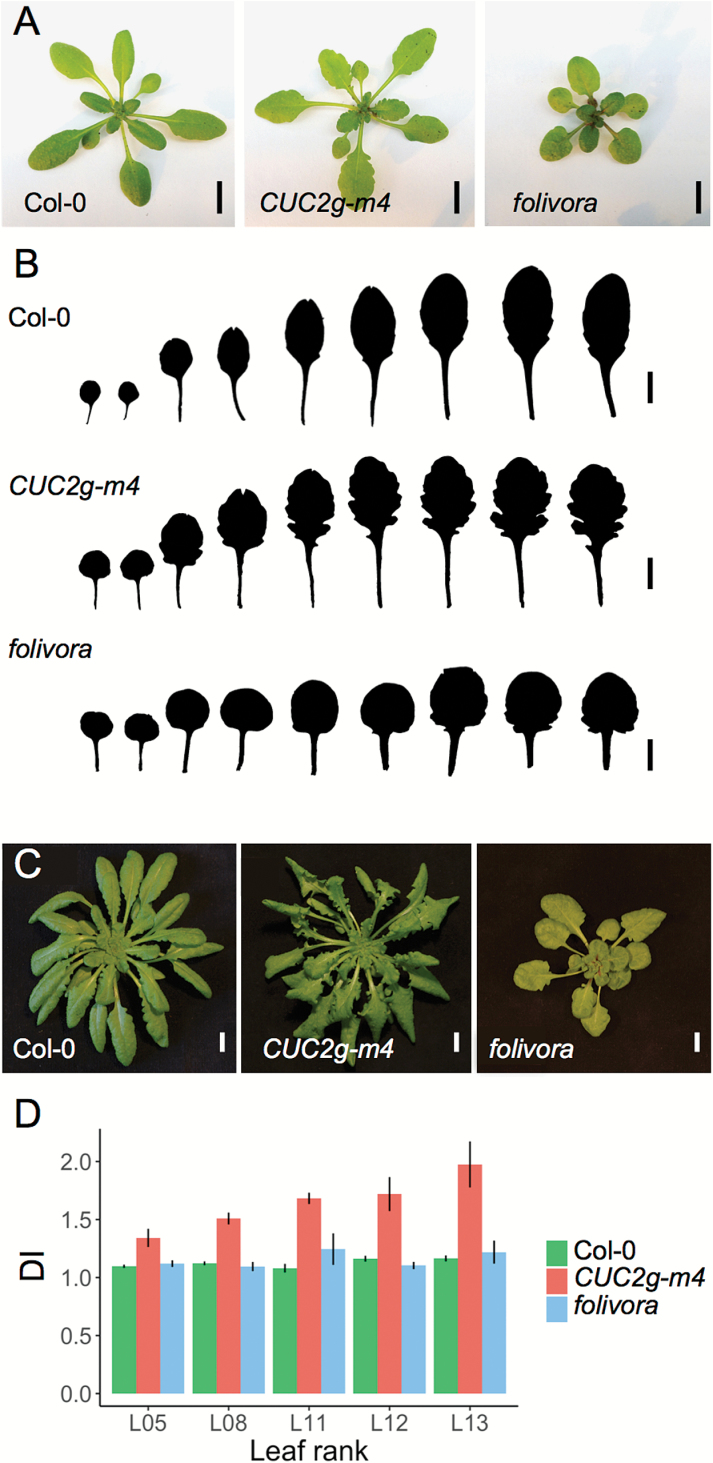 Fig. 1.