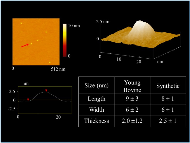 Figure 5