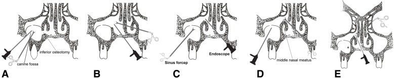 Fig. 10