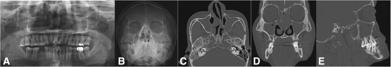 Fig. 9