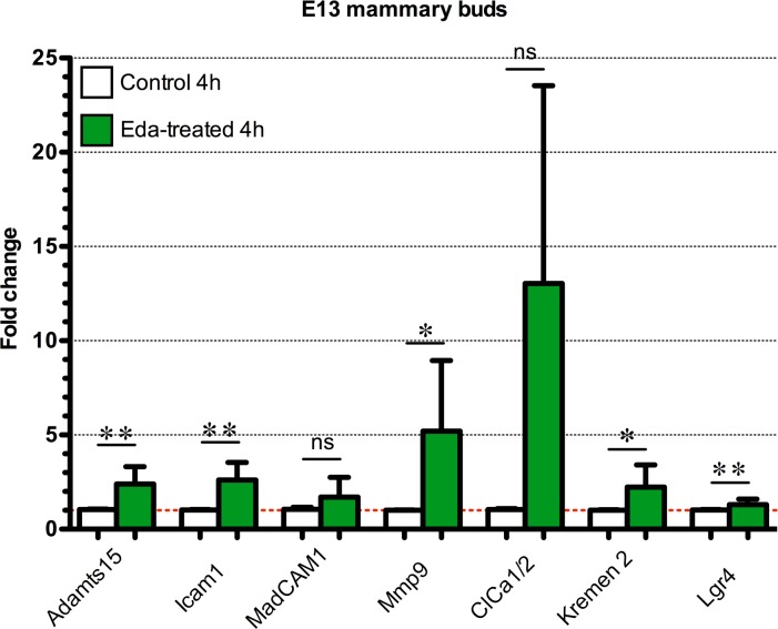 Fig 6