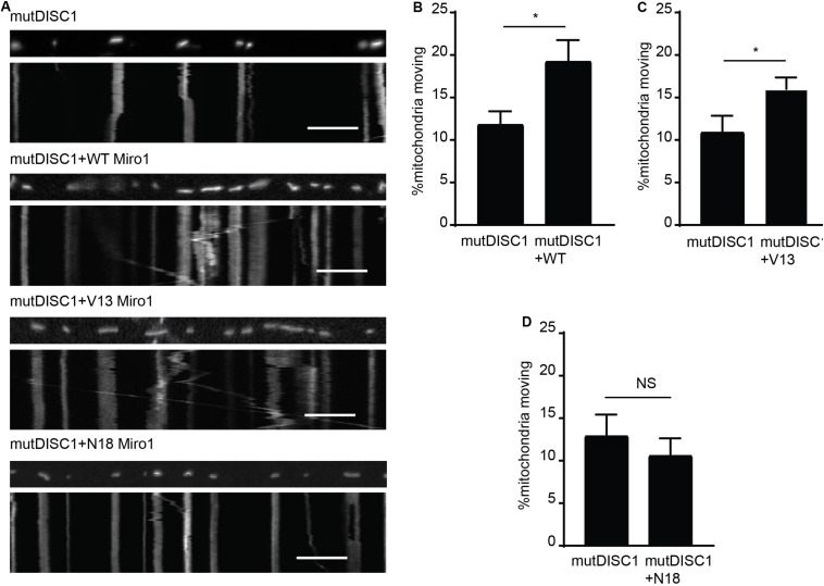 FIGURE 3