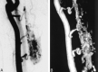 F<sc>ig</sc> 3.