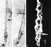 F<sc>ig</sc> 2.
