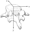 Fig. 1