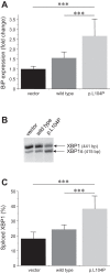 Fig. 10.