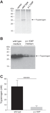 Fig. 8.