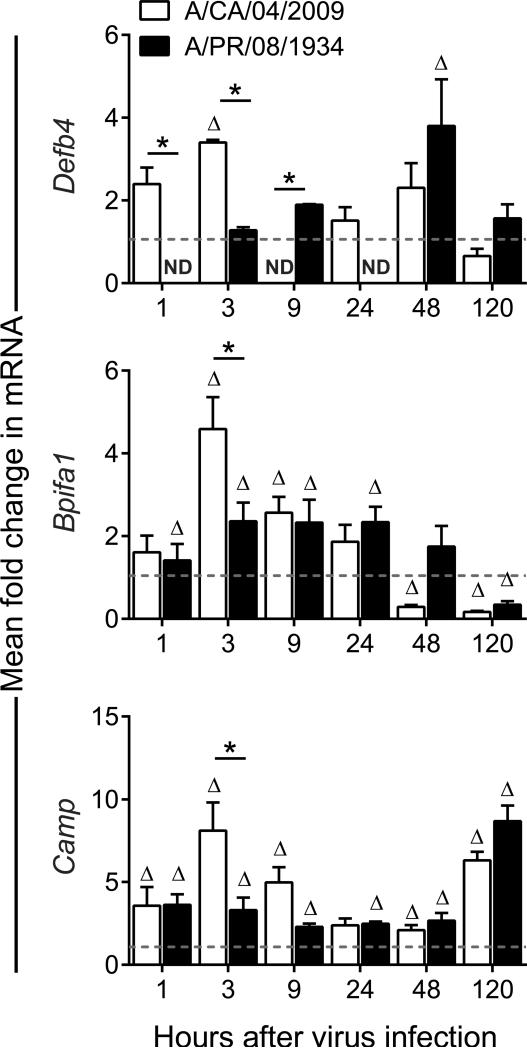 Figure 4