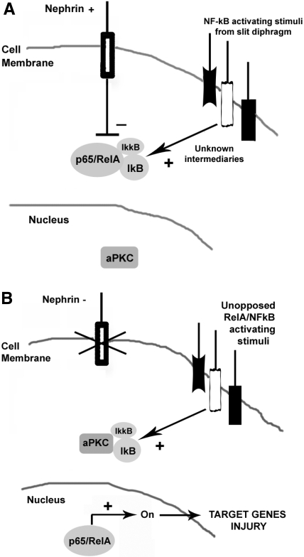 Figure 9.